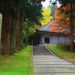 世界遺産 中尊寺金色堂の紅葉