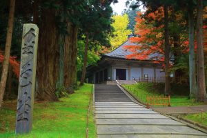 世界遺産 中尊寺金色堂の紅葉