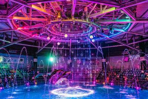 アクアパーク品川 夜のイルカショー