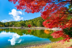 紅葉の毛越寺(大泉が池)
