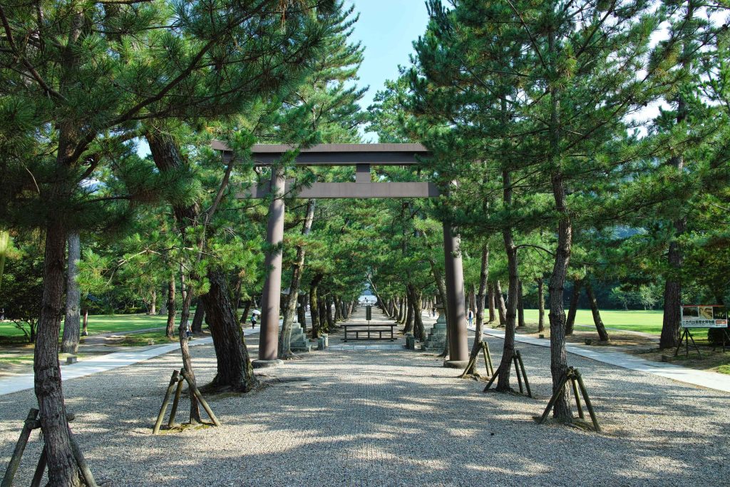 出雲大社 松の参道