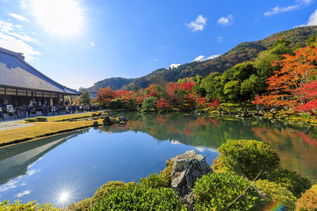 世界遺産・天龍寺の美しい曹源池庭園と赤く染まり始める木々