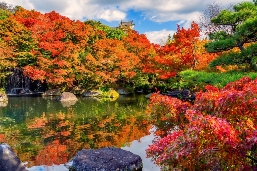 紅葉が美しい好古園の日本庭園と池