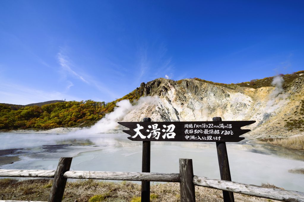 白煙と灰黒色の湯が壮大な大湯沼