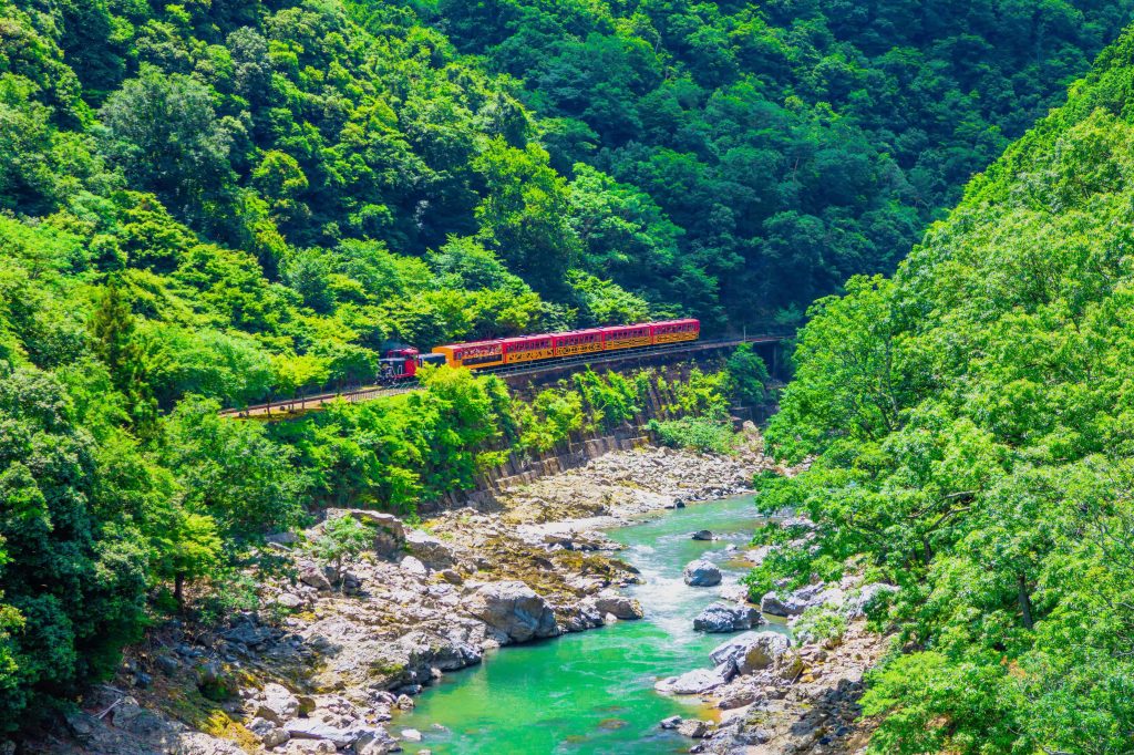 新緑の保津峡とトロッコ列車
