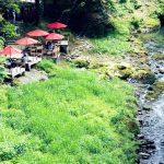 新緑の鶴仙渓・観光名所の川床