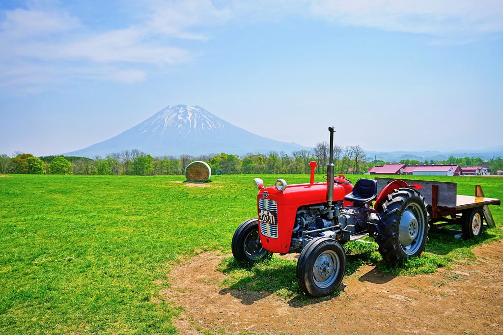 羊蹄山を望むニセコ高橋牧場の風景