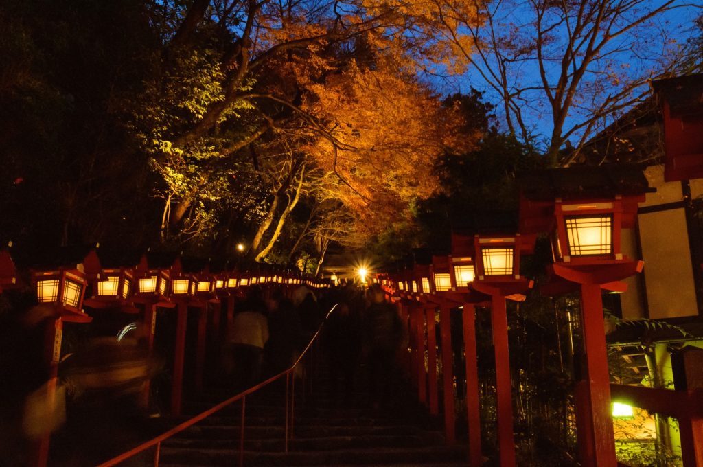 ライトアップされた紅葉に染まる貴船神社
