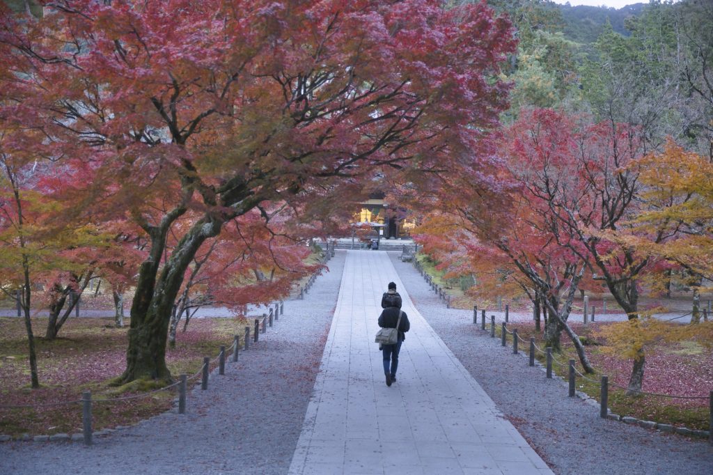 早朝の南禅寺 参道を彩る紅葉