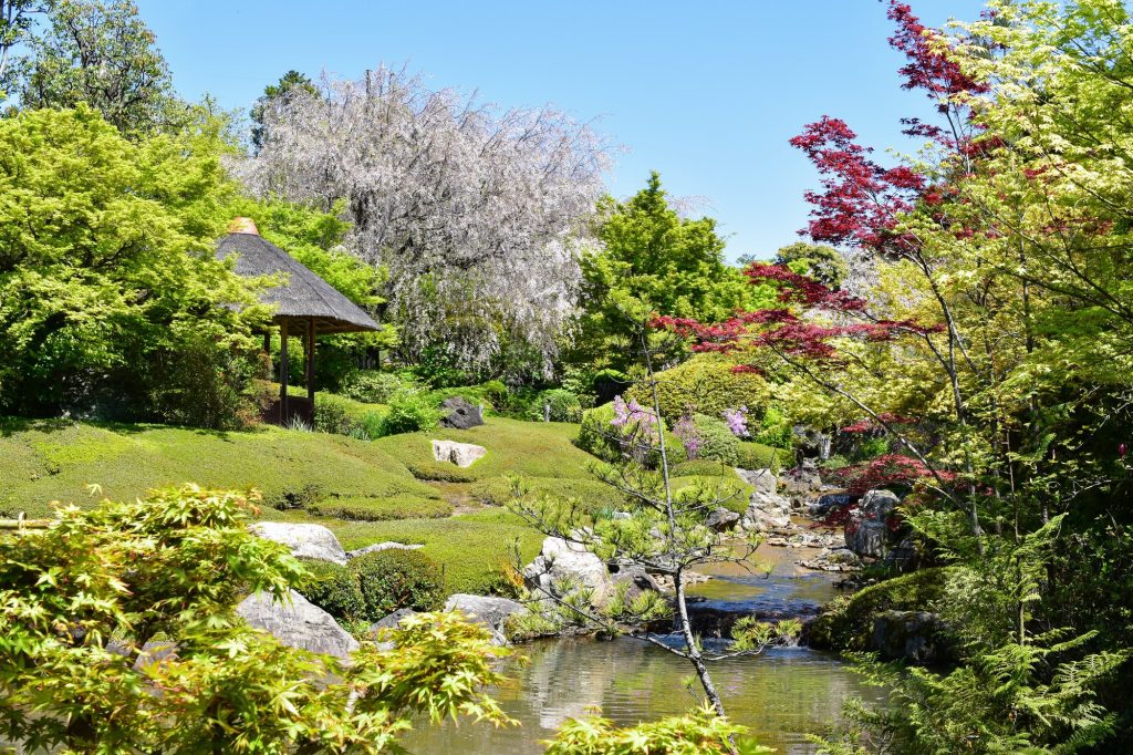 妙心寺 退蔵院「余香苑」